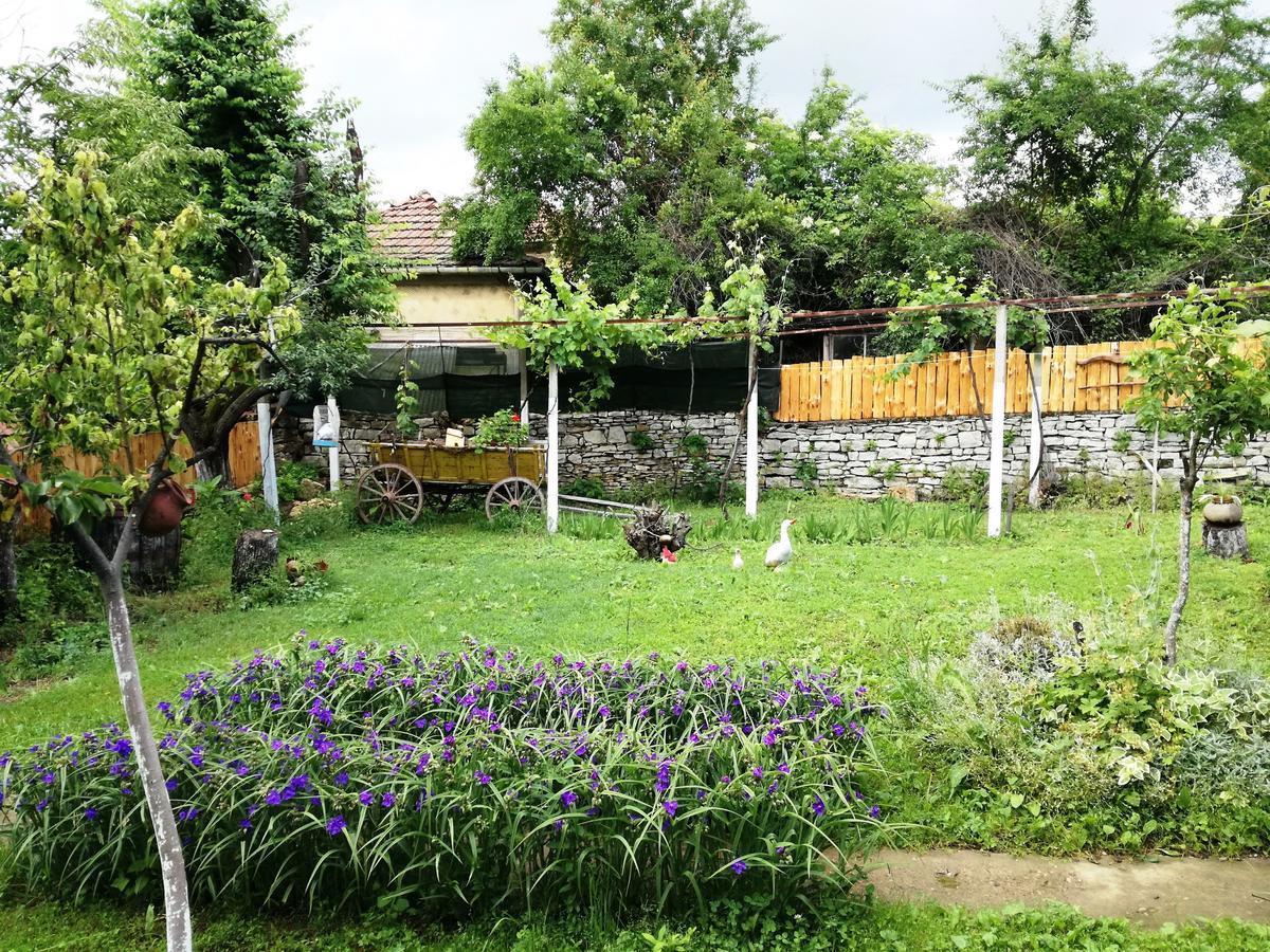 קרושונה Divna Guest House מראה חיצוני תמונה